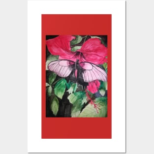 Pink butterfly and red hibiscus flower Posters and Art